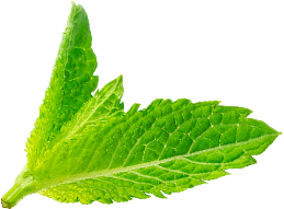 bamboo salt benefits 20 pricing plan pic 2