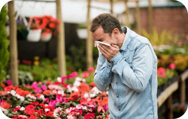 bamboo salt benefits 3 image.psd 5 2