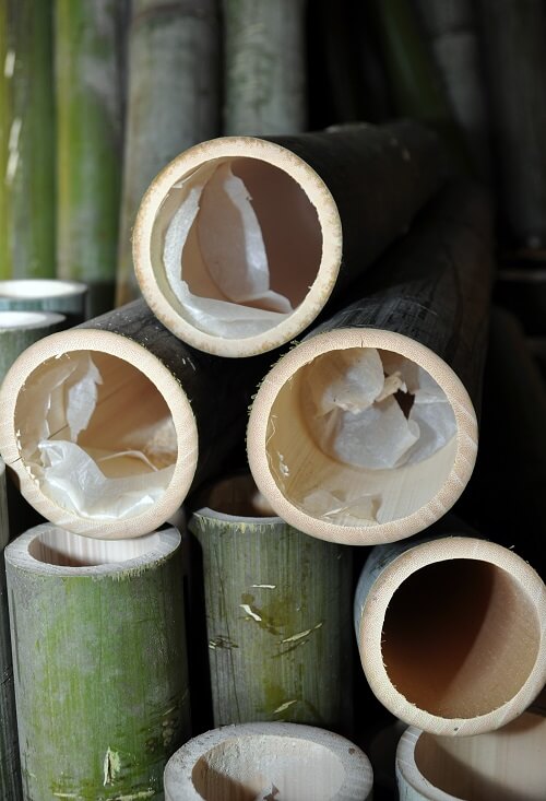Bamboo Trunks