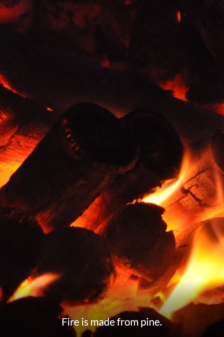 Bamboo salt burning on Pine trees